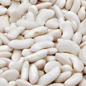 mongeta del ganxet AG.