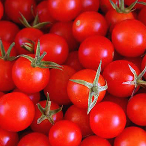 tomàquet cirerol - xerri