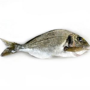 orada salvatge neta 2u 500 g La Platjeta