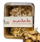 gírgola de castanyer - maitake 150 g Bolet ben fet