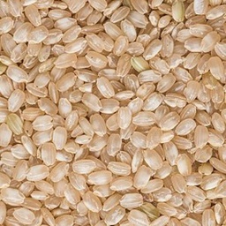 [g02] arròs integral AG.