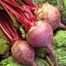 [h029] remolatxa (manat)