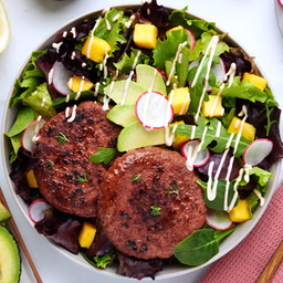 [g68] heura hamburgueses AG