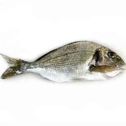 [1239] orada salvatge neta 2u 500 g La Platjeta