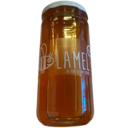 [1789] mel de milflors 1 kg La mel