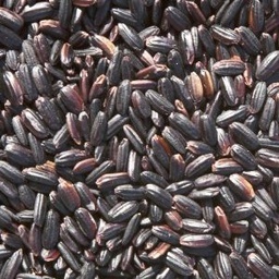 [g111] arròs negre AG.