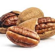 [h119] nous pacanes AG.