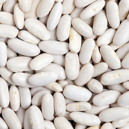 [g24] mongeta blanca AG.