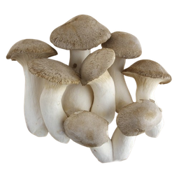 [h154] bolet de card 170 g Bolet ben fet