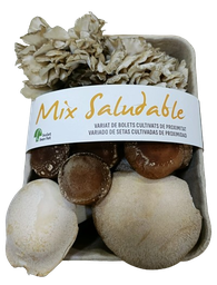 [h155] mix de bolets 300 g Bolet ben fet