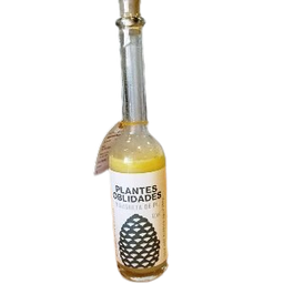 [2258] vinagreta de pi 100 ml Plantes Oblidades