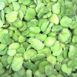 [h161] fava pelada congelada